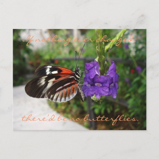 PianoButterfly-Briefkaart/Citaat Briefkaart (Voorkant)