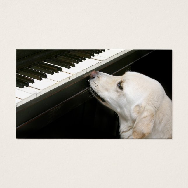 Pianolessen Visitekaartjes (Voorkant)