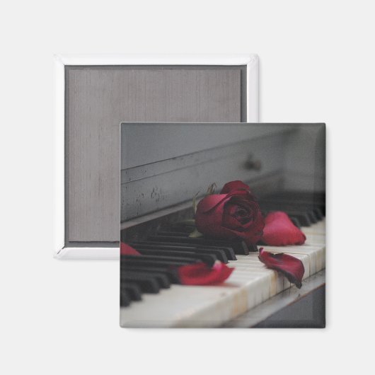 Pianosleutels met een rode roze magneet (Voorkant / Achterkant)