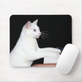 Pianospelende kat muismat (Met muis)