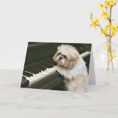 pianospeler kaart (Gele Bloem)