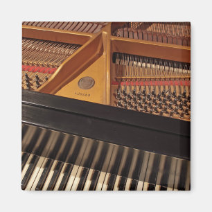 Pianotoetsenbord en -penmagneet magneet