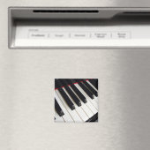 Pianotoetsenbord Magneet (Insitu (Vaatwasser))