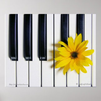 Pianoventiel Poster