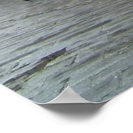 Piazza della Signoria, Florence Poster (Hoek)