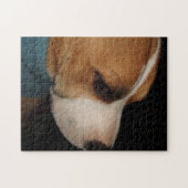 Pibbles Legpuzzel (Horizontaal)