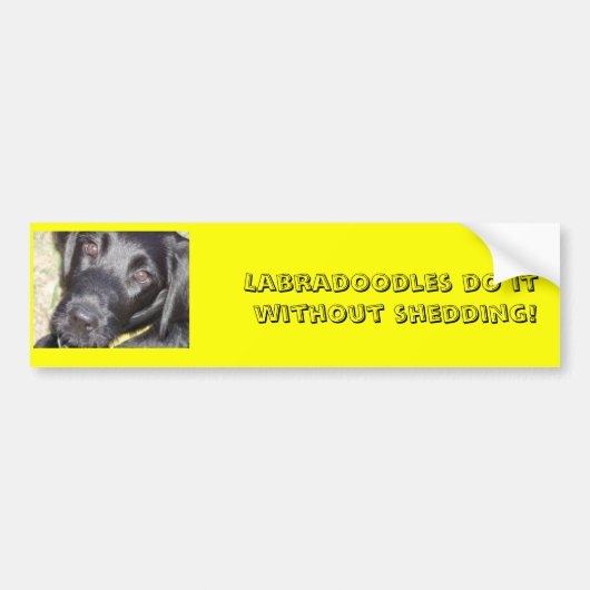 pic4, Labradoedles doen het zonder dat ze hoeven t Bumpersticker (Voorkant)
