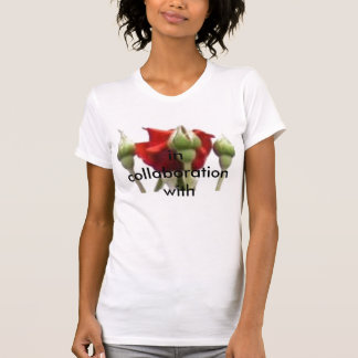 PIC_0010, in samenwerking met T-shirt