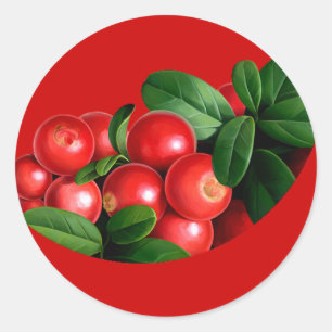 pic_04 ronde sticker