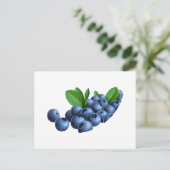 pic_11 briefkaart (Staand voorkant)