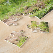 Pic of a Lion - De koning van het Oerwoud Legpuzzel (Zijkant)