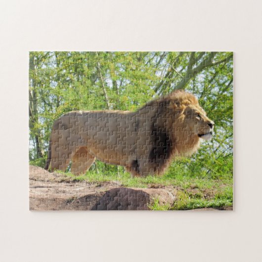 Pic of a Lion - De koning van het Oerwoud Legpuzzel (Horizontaal)
