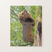 Pic of a Lion - De koning van het Oerwoud Legpuzzel (Verticaal)