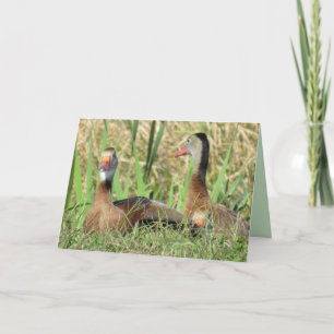 Pic of Black-Bellied Whistling Ducks Birthday Feestdagen Kaart