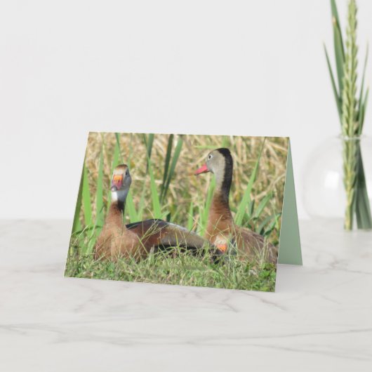 Pic of Black-Bellied Whistling Ducks Birthday Feestdagen Kaart (Voorkant)