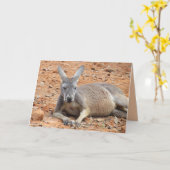 Pic of Kangaroo - Happy Birthday to Roo Kaart (Gele Bloem)