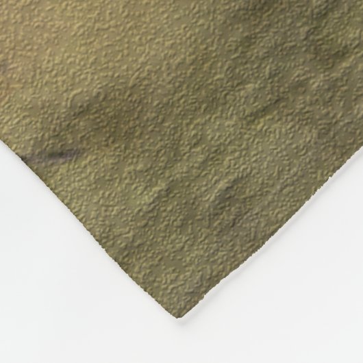 Picardy Spaniel, jachtseizoen Fleece Deken (Hoek)