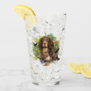 Picardy Spaniel, jachtseizoen Glas