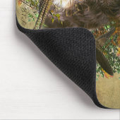 Picardy Spaniel, jachtseizoen Muismat (Hoek)