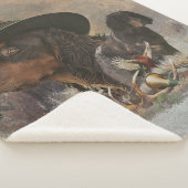 Picardy Spaniel, jachtseizoen Sherpa Deken (3/4)