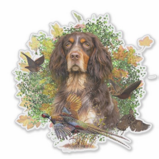 Picardy Spaniel, jachtseizoen Sticker (Voorkant)