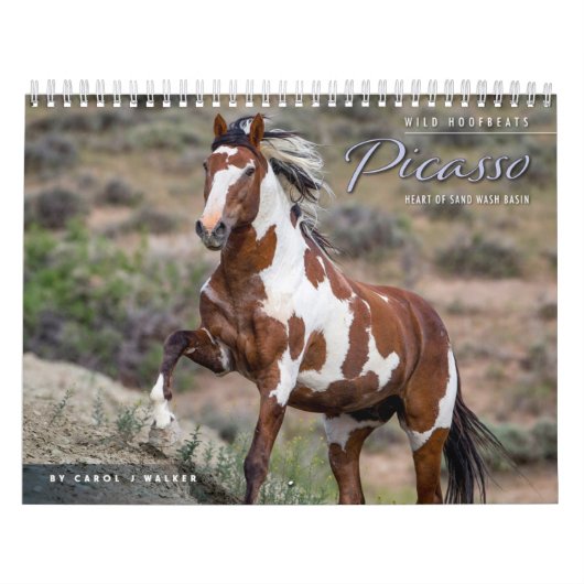 Picasso: hart van de zandwassingagenda kalender (Hoes)