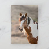 Picasso Leaps Wenskaart van wilde paarden Kaart (Binnen)