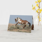 Picasso Leaps Wenskaart van wilde paarden Kaart (Gele Bloem)