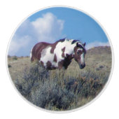 Picasso onder een blauwe hemel keramische knop (Voorkant)