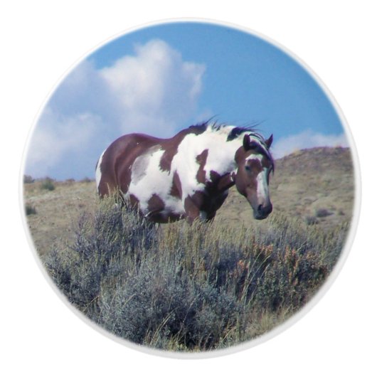 Picasso onder een blauwe hemel keramische knop (Voorkant)