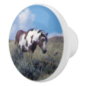 Picasso onder een blauwe hemel keramische knop (Rechts)