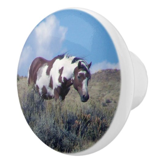 Picasso onder een blauwe hemel keramische knop (Rechts)