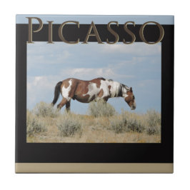 Picasso, Stallion of Sand Wash Basin, Colorado Tegeltje