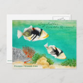 Picasso Trigger Fish Briefkaart (Voorkant / Achterkant)