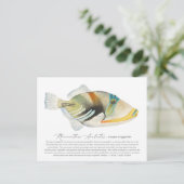 Picasso Triggerfish Feestdagenkaart (Staand voorkant)