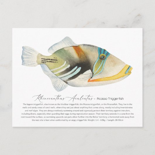 Picasso Triggerfish Feestdagenkaart (Voorkant)