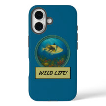 Picasso Triggerfish Ocean Blue