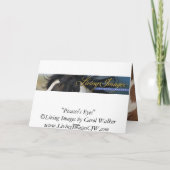 Picasso's Eyes Wild Horse Wenskaart Kaart (Achterkant)