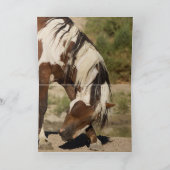 Picasso's Eyes Wild Horse Wenskaart Kaart (Binnen)