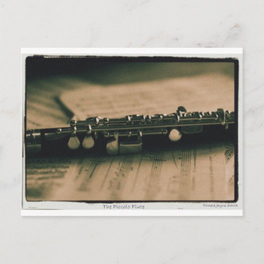 piccolo Flute 1839 Briefkaart (Voorkant)