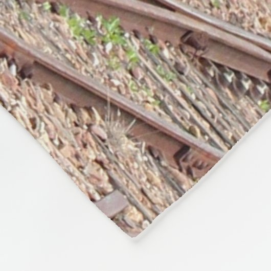 Pichi Richi stoomtrein Fleece Deken (Hoek)