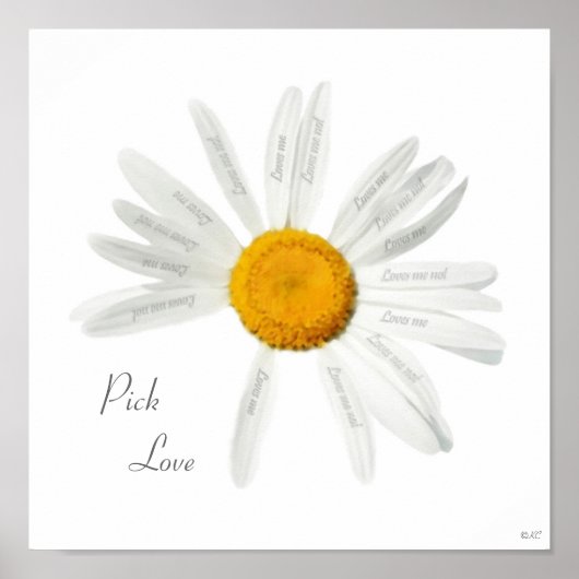 Pick Love Daisy Poster (Voorkant)