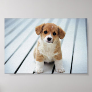 PICK OP IEMAND VAN UW EIGEN GROOTTE POSTER