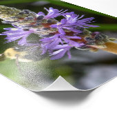 Pickerelweed en hommel foto afdruk (Hoek)