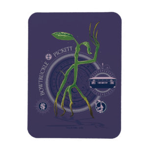 PICKETT™ de BOWTRUCKLE™ grafische kaart Magneet
