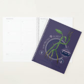 PICKETT™ de BOWTRUCKLE™ grafische kaart Planner (Display)
