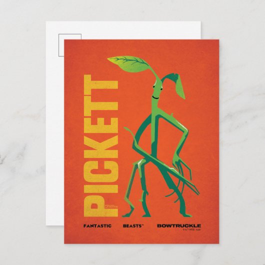 Pickett grafisch briefkaart (Voorkant / Achterkant)