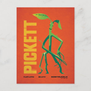 Pickett  grafisch briefkaart