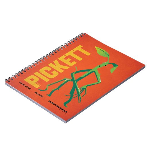 Pickett  grafisch notitieboek (Linkerzijde)
