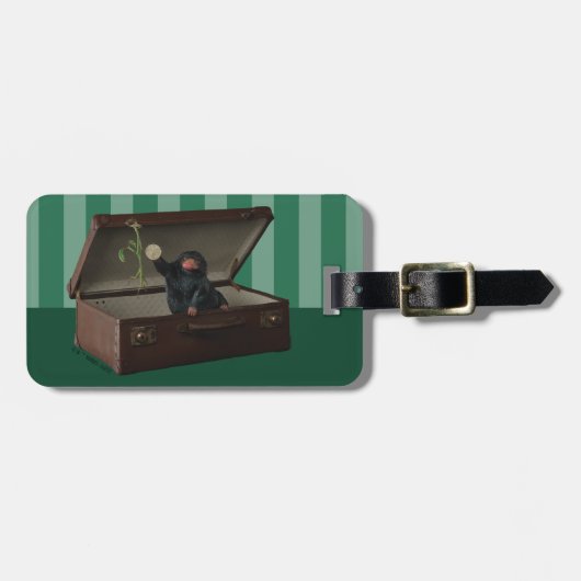 Pickett & Teddy in Briefcase Bagagelabel (Voorkant horizontaal)